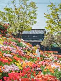 【 期間限定開催！】300万本ものチューリップに囲まれる夢の世界🌷🌈