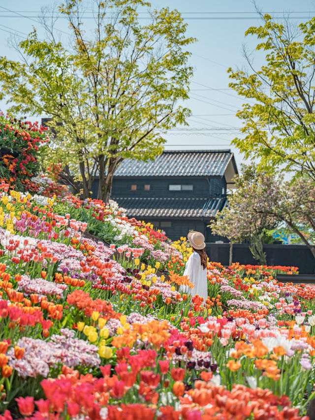 【 期間限定開催！】300万本ものチューリップに囲まれる夢の世界🌷🌈