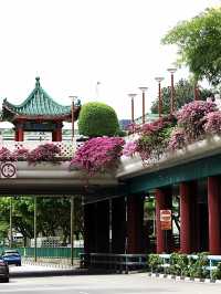 สิงคโปร์🇸🇬