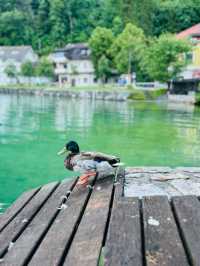 Bled: A Fairytale by the Lake