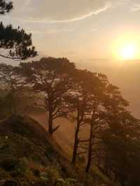 Conquering Mt. Pigingan: A Benguet Adventure