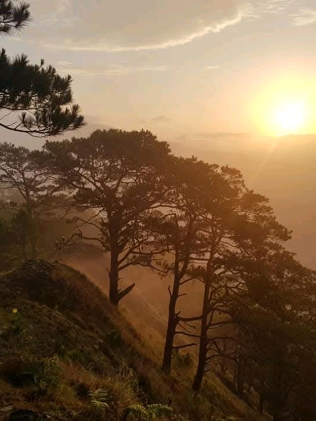Conquering Mt. Pigingan: A Benguet Adventure
