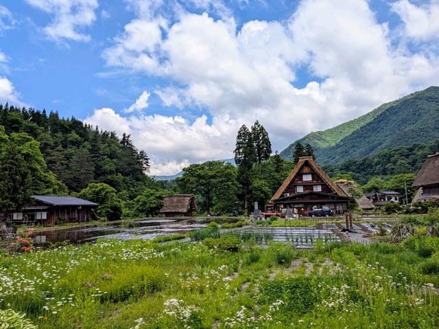 岐阜 | 花水木白川，白川鄉秘境喫茶店推薦。