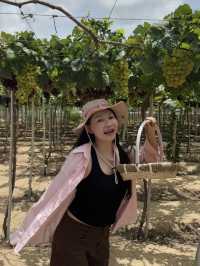 Weekend escape to Vinh Hy – Hang Rai: Nature, friends & unforgettable moments!” 🌊 🍇