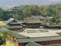 Changgyeonggung Palace – Seoul’s Serene Palace of Seasons