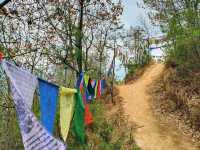 Buddha Dordenma – Serenity Above the Clouds in Thimphu