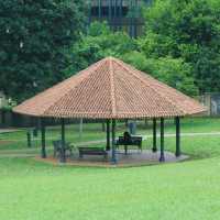 探秘新加坡福康寧公園，邂逅別樣風情🌳