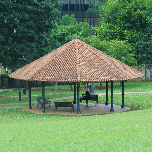 探秘新加坡福康寧公園，邂逅別樣風情🌳