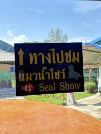 พิพิธภัณฑ์สัตว์น้ำราชมงคลตรัง - ตรัง 🐠