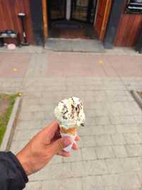 해외여행 칠레 아이스크림 맛집 Artisan gelateria Aluen Patagonia