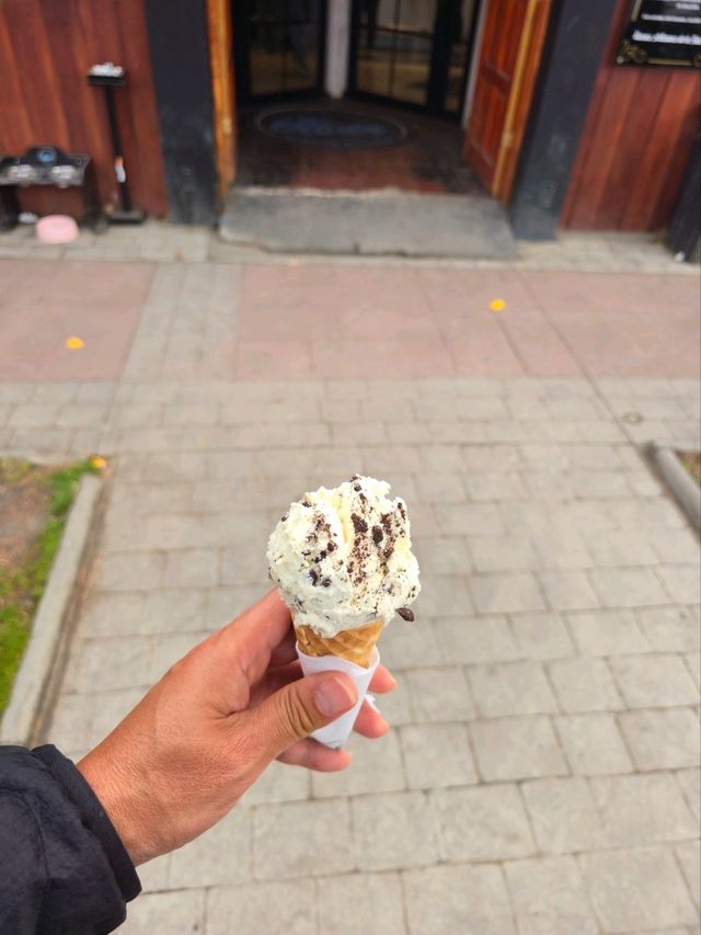 해외여행 칠레 아이스크림 맛집 Artisan gelateria Aluen Patagonia