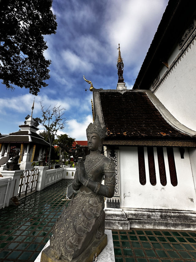 15 popular hostels in chiang mai 
