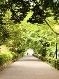 香川｜四百年丸龜城遺跡 最小的天守與日本最高的石垣