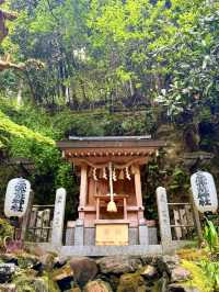 京都｜800年歷史53公尺高大杉木 由岐神社的鎮邪傳說