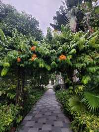 Raffles Hotel's Hidden Garden, Bar and Billiards Room