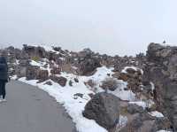 3月日本自由行 景点篇 鬼押出火山岩石公園