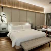 A Contemporary Oasis Where Comfort Meets Elegance