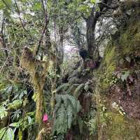 Doubtful Sound