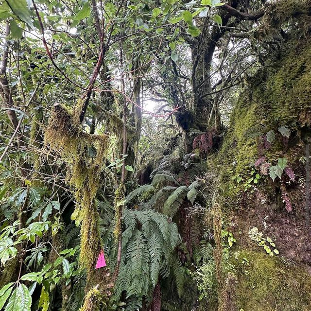 Doubtful Sound