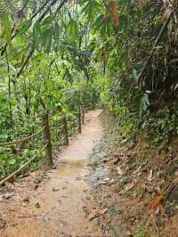 น้ำตกโตนไพร