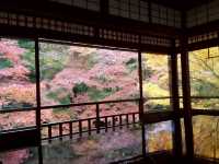 【京都】期間限定　瑠璃光院