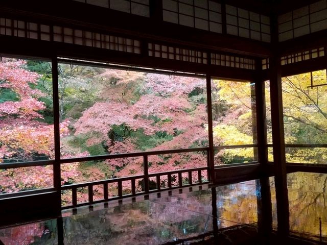 【京都】期間限定　瑠璃光院