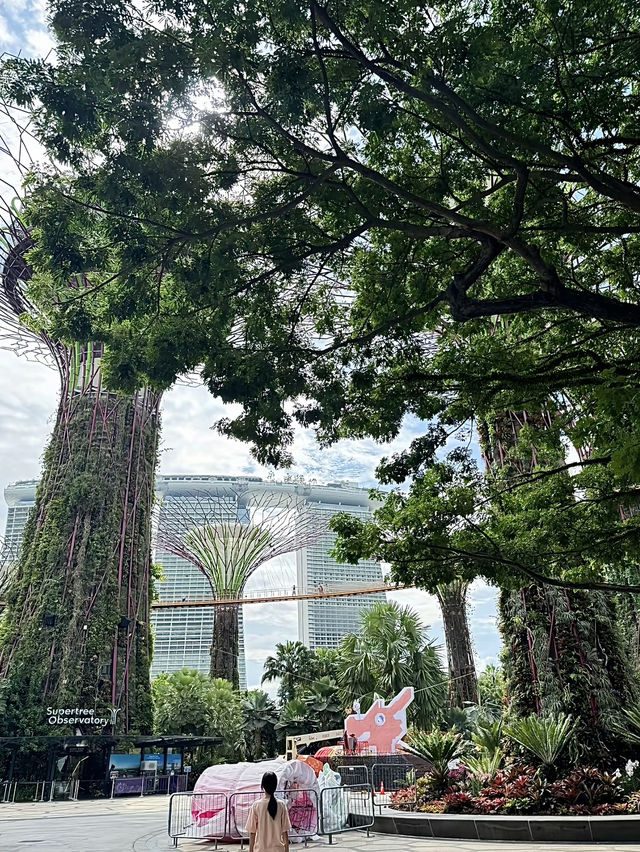 สิงคโปร์🇸🇬