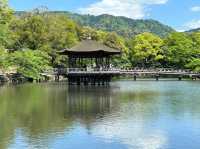 一座美麗的六角形建築，屋頂以檜樹皮搭建💕浮見堂