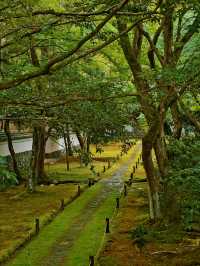 京都·西芳寺｜記憶裡的雨中苔島
