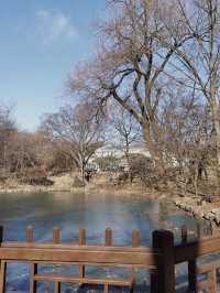 Changdeokgung Palace & Secret Garden – A Serene Royal Retreat in Seoul
