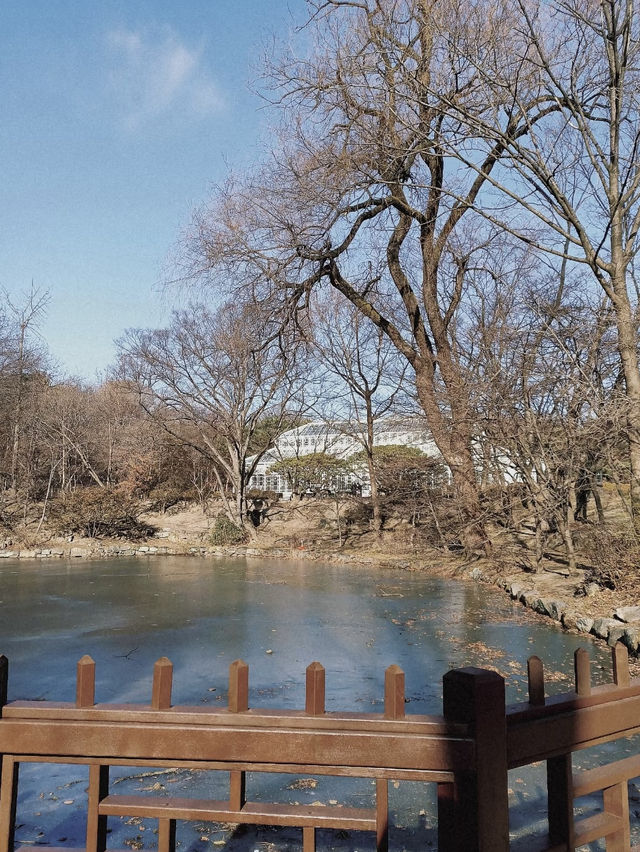 Changdeokgung Palace & Secret Garden – A Serene Royal Retreat in Seoul