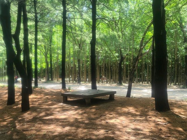 서울숲공원 (하늘 그리고 수국길)