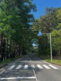 【岩手・小岩井農場】牧歌的な風景に癒される、自然とふれあう贅沢時間