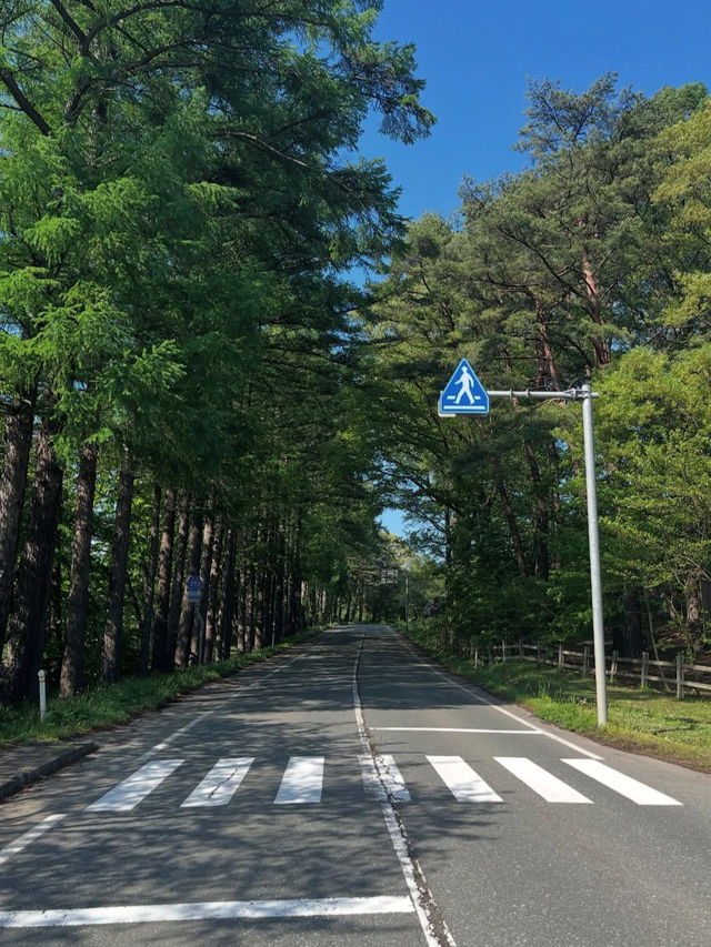 【岩手・小岩井農場】牧歌的な風景に癒される、自然とふれあう贅沢時間