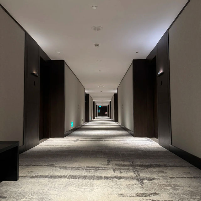 Hilton Singapore Orchard: Prime Location & Modern Comfort! 🇸🇬✨
