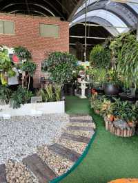 Hidden Green Corners in the City – Budget Garden Escape in Hong Kong