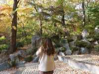  🍁🍂 ใบไม้เปลี่ยนสีที่มหาวิทยาลัยคยองฮี
