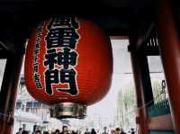 From Deer to Disney: My Dreamy Days in Japan