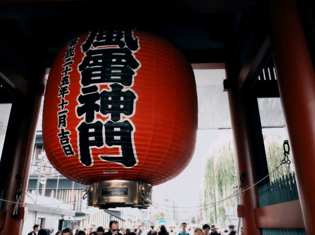 From Deer to Disney: My Dreamy Days in Japan