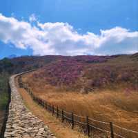 Hwawangsanseong Fortress Vibes in Changnyeong