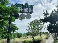 ✈️ 제주 공항 근교 수국 감상 