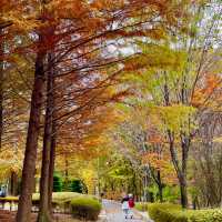 🌸 부산 화명동 힐링 산책여행코스 추천! 🌿