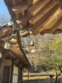 용인에서 하루 완벽하게 보내기: 명태조림 + 민속촌 체험