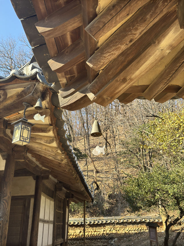 용인에서 하루 완벽하게 보내기: 명태조림 + 민속촌 체험