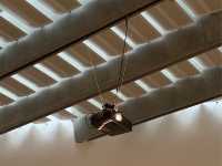 🎨🏛️ MAXXI: Rome's Modern Art Gem – Where Art Meets Community!