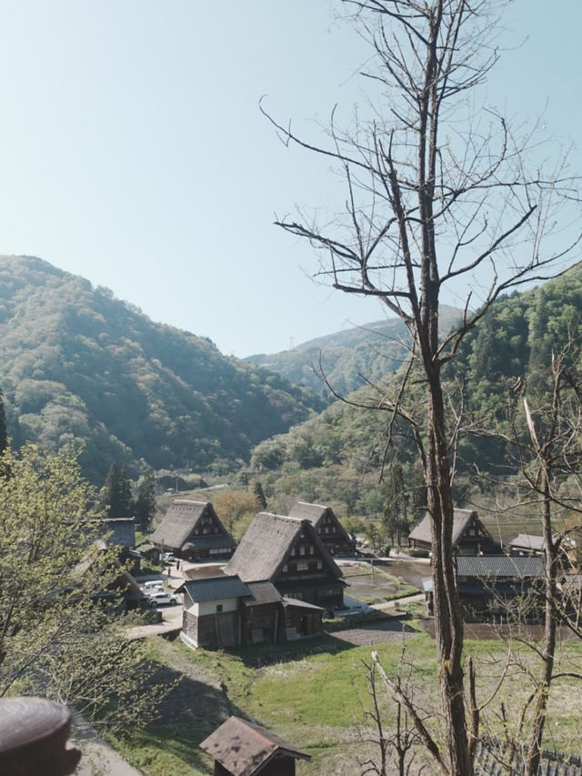静寂と伝統が息づく世界遺産🌿菅沼合掌造り集落で癒しの時間を