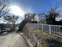 🏞️ Strolling Through History – Morioka Castle Site Park (Iwate Park)