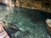 【グラン・セノーテ（Gran Cenote）｜神秘の光と水に包まれる夢のような洞窟泉】