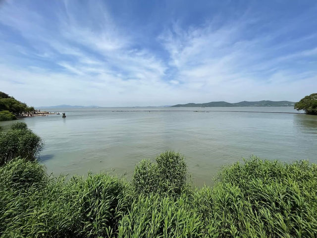 🌿 Yuantouzhu 鼋头渚 — A Peaceful Summer Escape by Taihu Lake