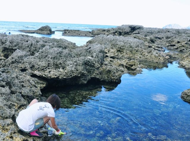 青春戲水，夏日蘭嶼跳水浮潛 🌞🌊🩴